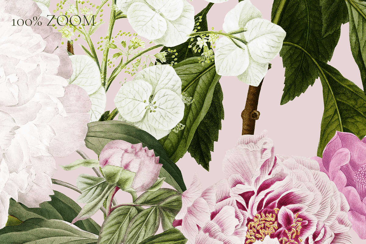 PEONIES Seamless Pattern, a Pattern Graphic by Splash! (Photo 10 of 10)