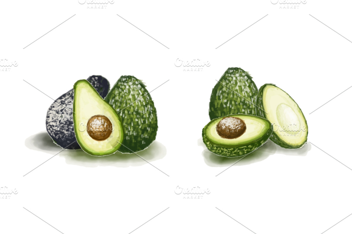 Avocado Watercolor set, a Food Illustration by skyclick (Photo 2 of 2)