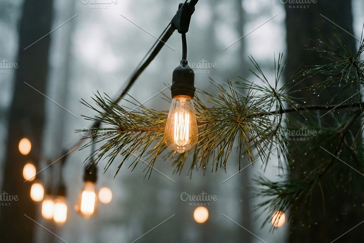 Warm Edison String Lights in Forest, a Nature Photo by Virgo Studio (Photo 2 of 2)