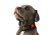 Mastiffs and Pugs 34 PSD Dogs Set, an Animal Illustration by Dneprstock (Thumbnail 6 of 15)