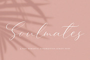 The Wedding Fonts Bundle, a Script Font by Salt & Pepper Designs (Thumbnail 2 of 10)