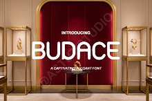 Budace - The Premium High-Contrast M