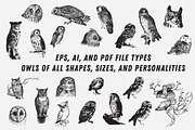 OWLS | 23 Vintage Vectors, an Animal Illustration by Britt & Kit (Thumbnail 2 of 2)