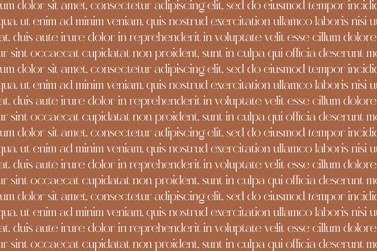 Gealova Modern Serif Font, a Serif Font by Storytype Studio (Photo 6 of 15)