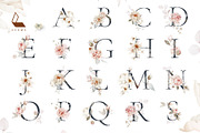 Fiona | Botanical set, a Decorative Illustration by Karma (Thumbnail 23 of 36)