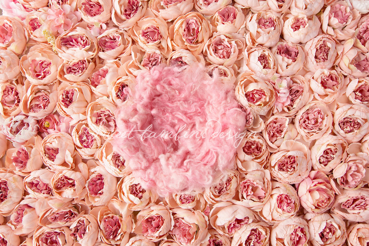 Digital Backdrop Newborn Photography