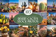 105 Desert Cactus Stock Photos, a Nature Photo by Incomelion (Thumbnail 1 of 16)