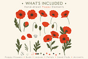 Poppy Flower Clipart Collection, a Decorative Illustration by OREHOVKA (Thumbnail 2 of 6)