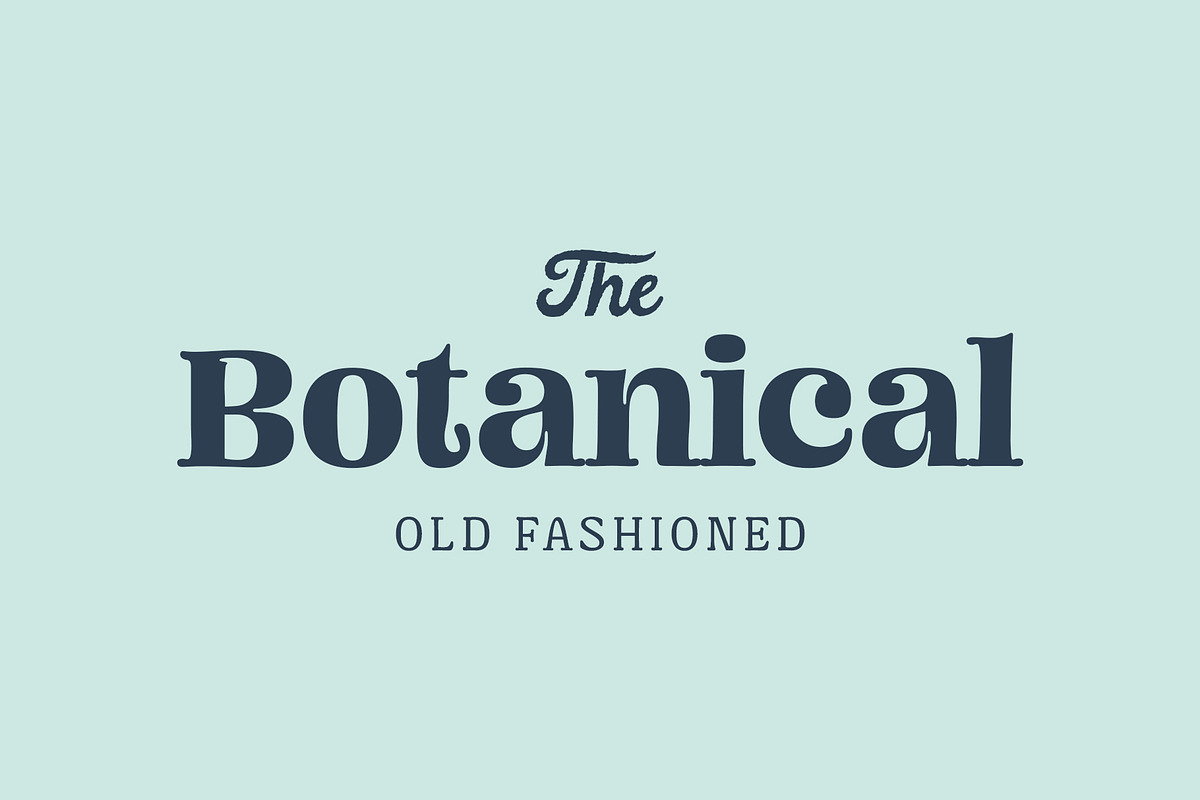 Mad Rascal - Font Family, a Serif Font by Get Studio (Photo 2 of 24)