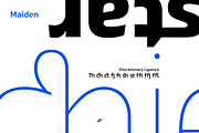 Maiden (Complete Family), a Sans Serif Font by Deltatype (Thumbnail 5 of 7)
