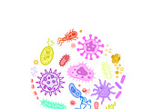 Biology & Anatomy goodnotes stickers, an Education Illustration by Noorist (Thumbnail 24 of 32)