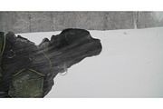 Semiannual Cane Corso Whelp Puppy, a Graphic by Our Amazing World (Thumbnail 1 of 2)