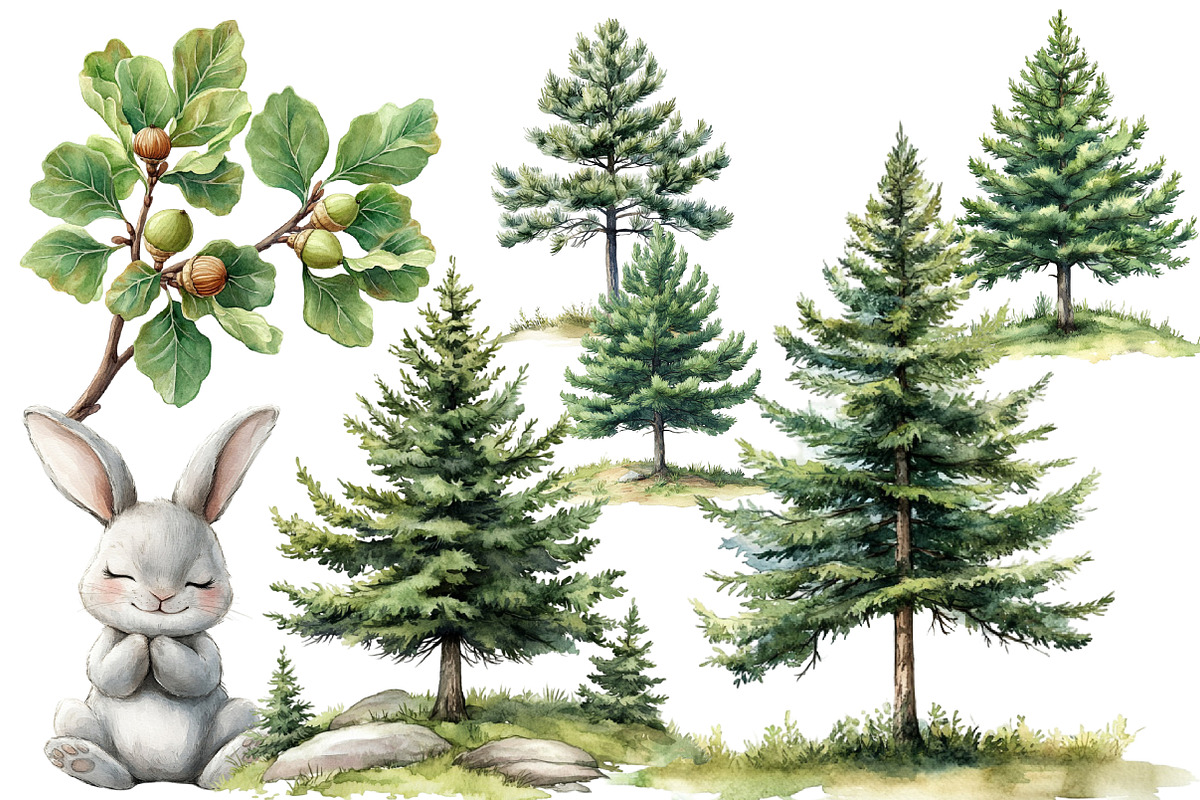 Cute Woodland Animal Clipart, an Illustration by Designworld (Photo 5 of 6)
