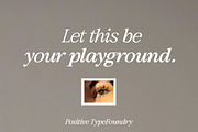 Results Letter Family (18 Fonts), a Serif Font by Positive TypeFoundry (Thumbnail 3 of 17)