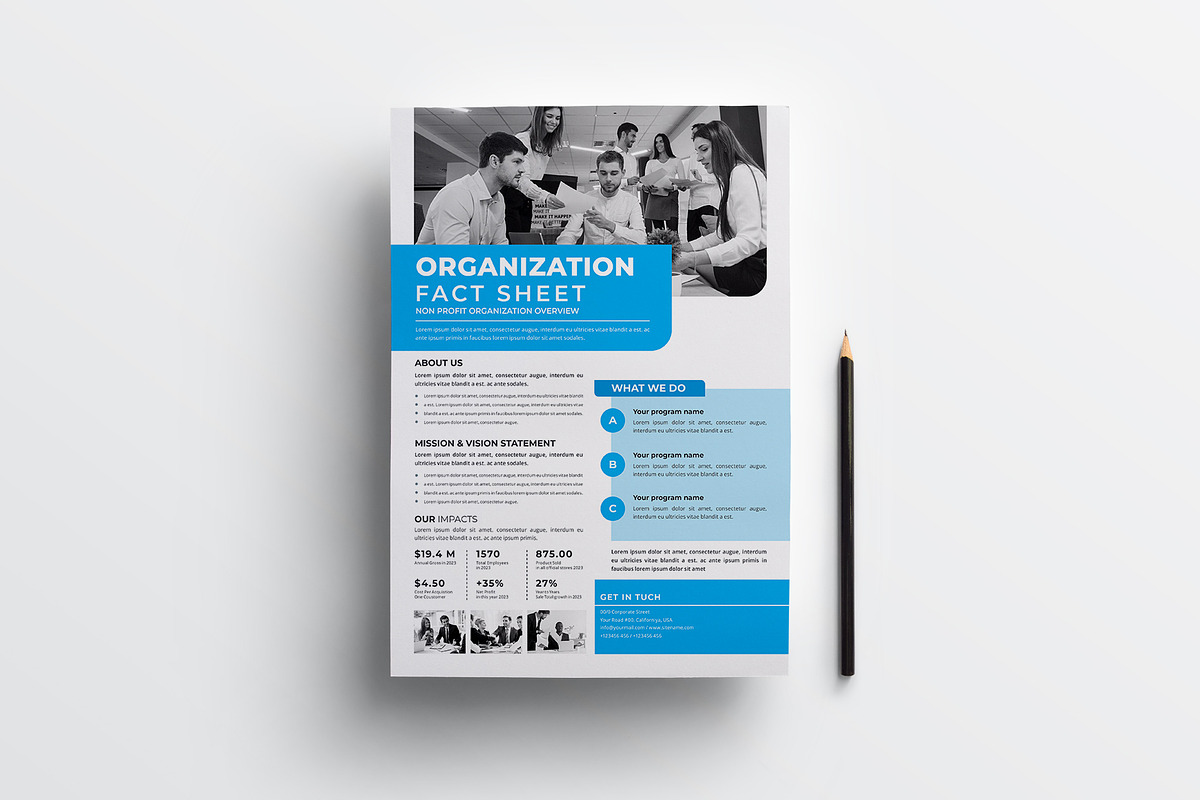 Nonprofit Organization Fact Sheet, a Flyer Template by obayes (Photo 2 of 3)