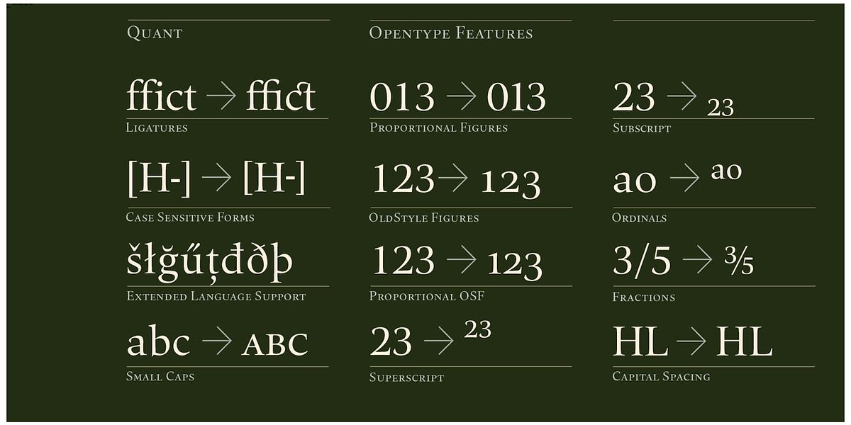 Quant, a Serif Font by Hoftype (Photo 5 of 6)