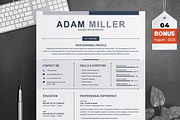 Resume/CV Bundle | 200+ for $29, a Resume Template by ResumeInventor (Thumbnail 130 of 207)
