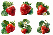 Watercolor strawberry Clipart, an Illustration by Designworld (Thumbnail 4 of 7)