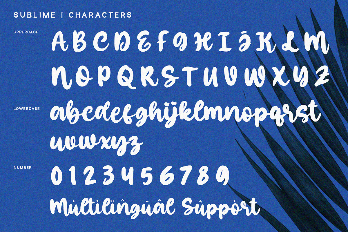 Sublime - Bold Script preview 5