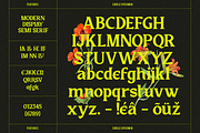 Sirkle - Semi Serif Display, a Serif Font by Invasi Studio (Thumbnail 10 of 11)