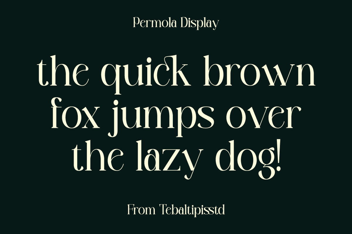 Permola - Display Serif, a Serif Font by tebaltipislab (Photo 16 of 20)