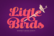 Little Bird Display Script, a Script Font by senzana (Thumbnail 1 of 10)
