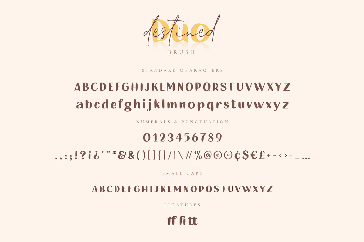 Destined Duo Brush Sans & Signature, a Script Font by Ayca Atalay (Photo 12 of 13)