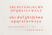 Ravlco — Retro Display Sans, a Sans Serif Font by Almeera Std (Thumbnail 8 of 10)