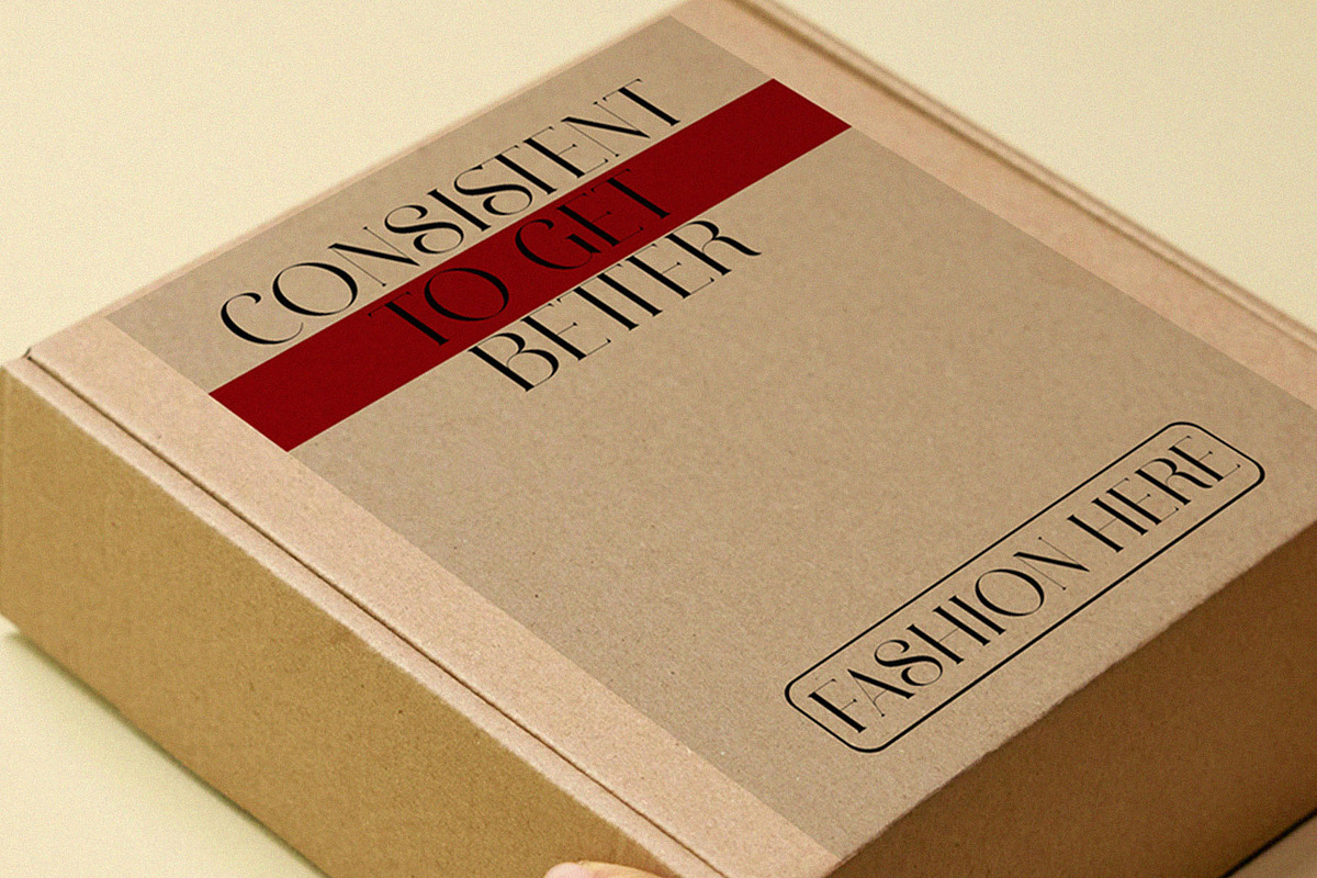 Ravlys - Classy serif, a Serif Font by ToniStudio (Photo 11 of 11)