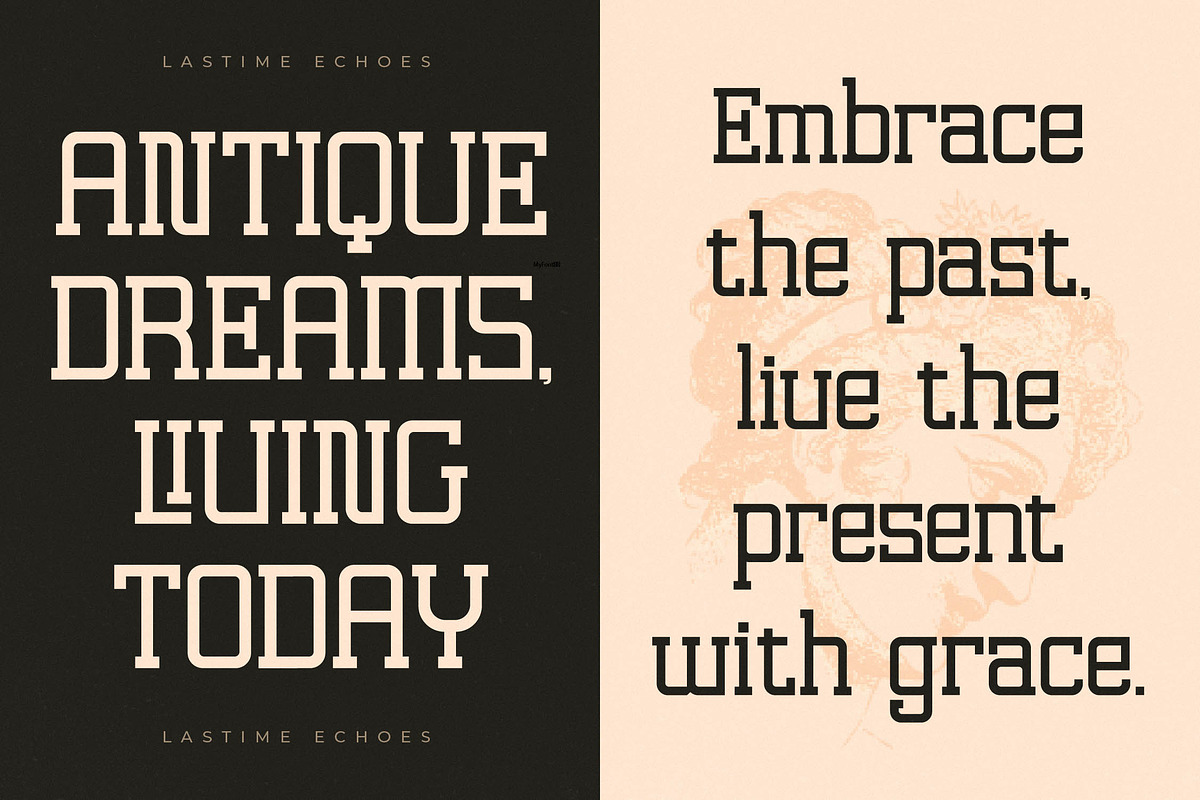 Lastime Echoes Display Slab Serif, a Serif Font by Letterena Studios (Photo 7 of 15)
