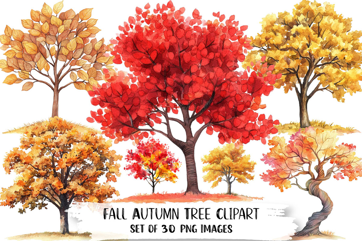 Watercolor Fall Autumn Tree Clipart, an Illustration by DreamPrint404 (Photo 1 of 6)