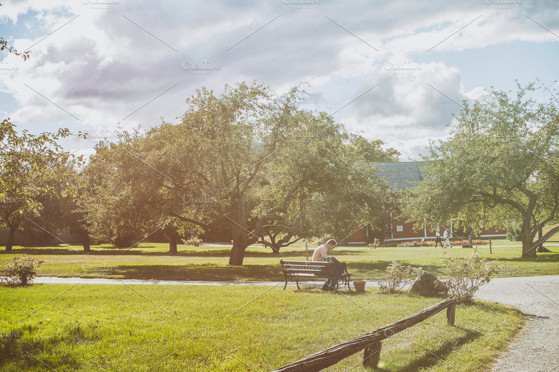 Man In Park