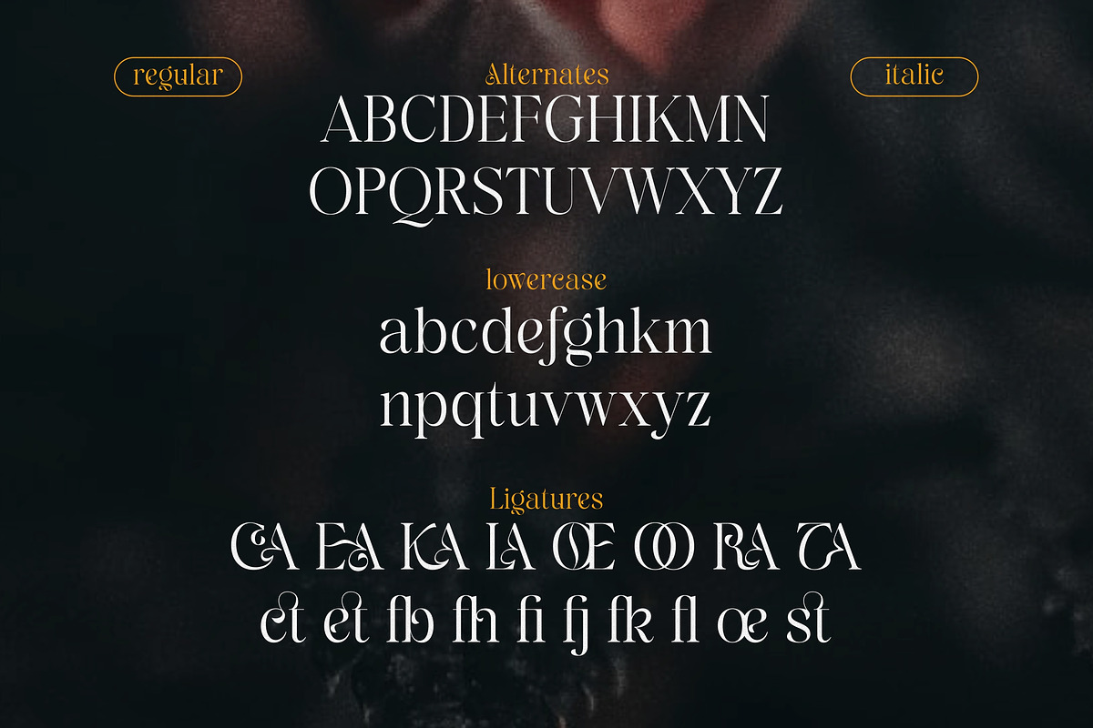 Rashela - A Decorative Serif, a Serif Font by agnyhasyastudio (Photo 8 of 10)