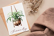 Flowers in hanging pots clipart, a Decorative Illustration by Hello My Print (Thumbnail 5 of 10)