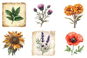 Vintage Botanical Paper Clipart PNG, an Illustration by SinaCreation (Thumbnail 2 of 5)