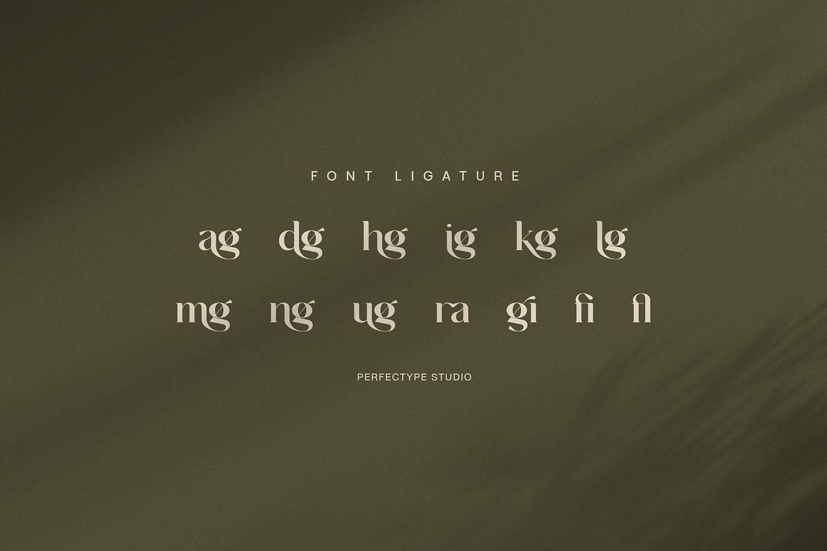 Magin Elegant Serif Font, a Serif Font by Perfectype (Photo 8 of 8)