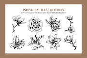 Botanical Illustration Bundle, an Illustration by Rough Edges Supply Co. (Thumbnail 4 of 17)