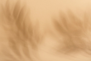Soft, blurred shadows of palm leaves are cast across a solid lig, a Background Photo by ndanko