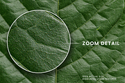 Realistic Green Leaf Textures, a Texture Graphic by Ary_ngeblur (Thumbnail 2 of 4)