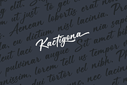 Kactigona – Bold Handwritten Font, a Script Font by Basnistudio (Thumbnail 3 of 12)
