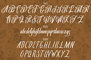 Shiluna, a Script Font by Annivers Type (Thumbnail 4 of 6)