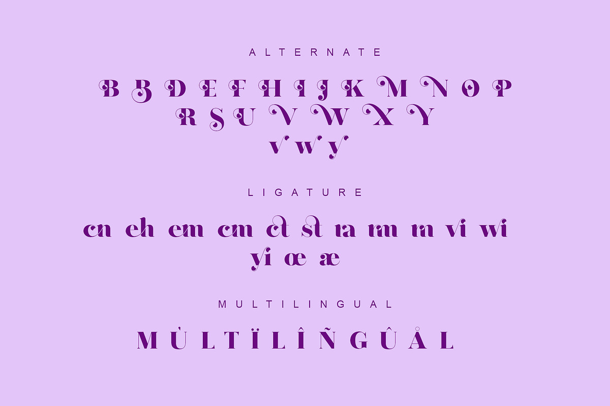 Barlenty, a Font by INKSUN™ (Photo 5 of 5)