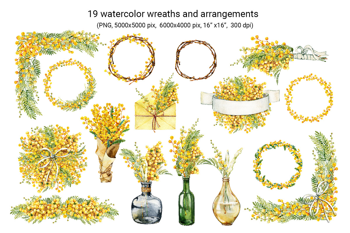 Spring mimosa, watercolor flowers, an Illustration by Artmanata (Photo 3 of 16)