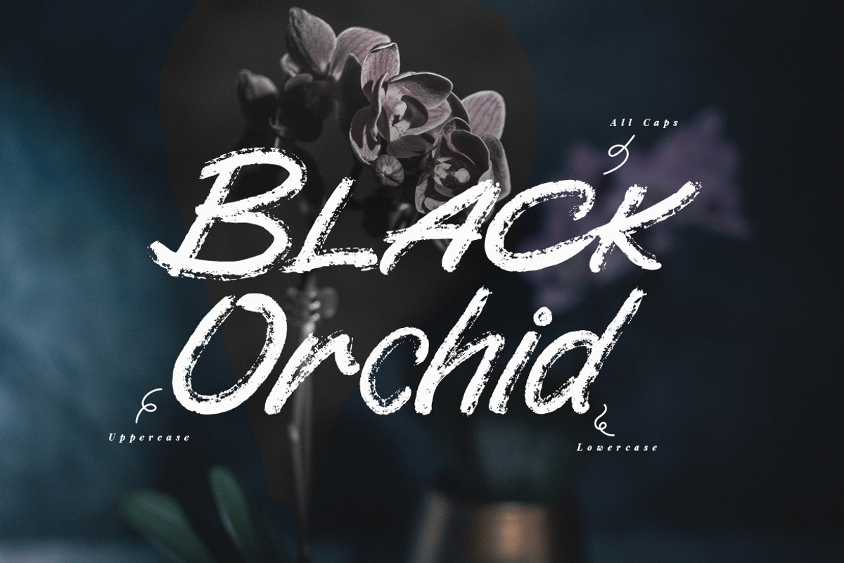 Scaratick - Handwritten Font Family, a Handwritten Font by FHFont (Photo 4 of 8)