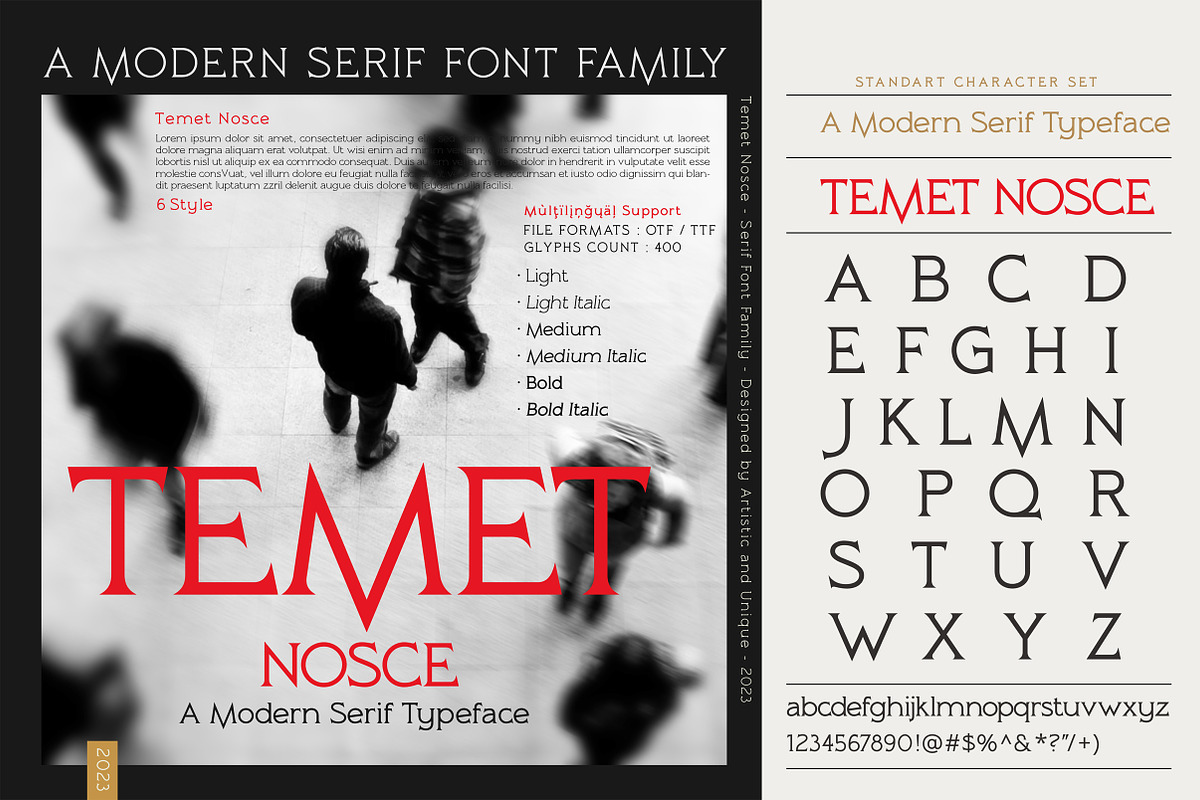 Temet Nosce - Serif font family, a Serif Font by Artistic & Unique (Photo 6 of 15)