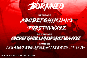 Bornneo Handmade Display Font