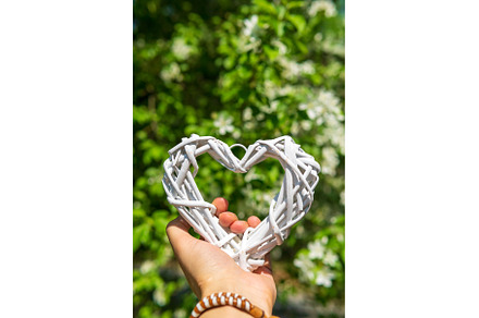 Hands holding heart on green, a Nature Photo by darksoul72
