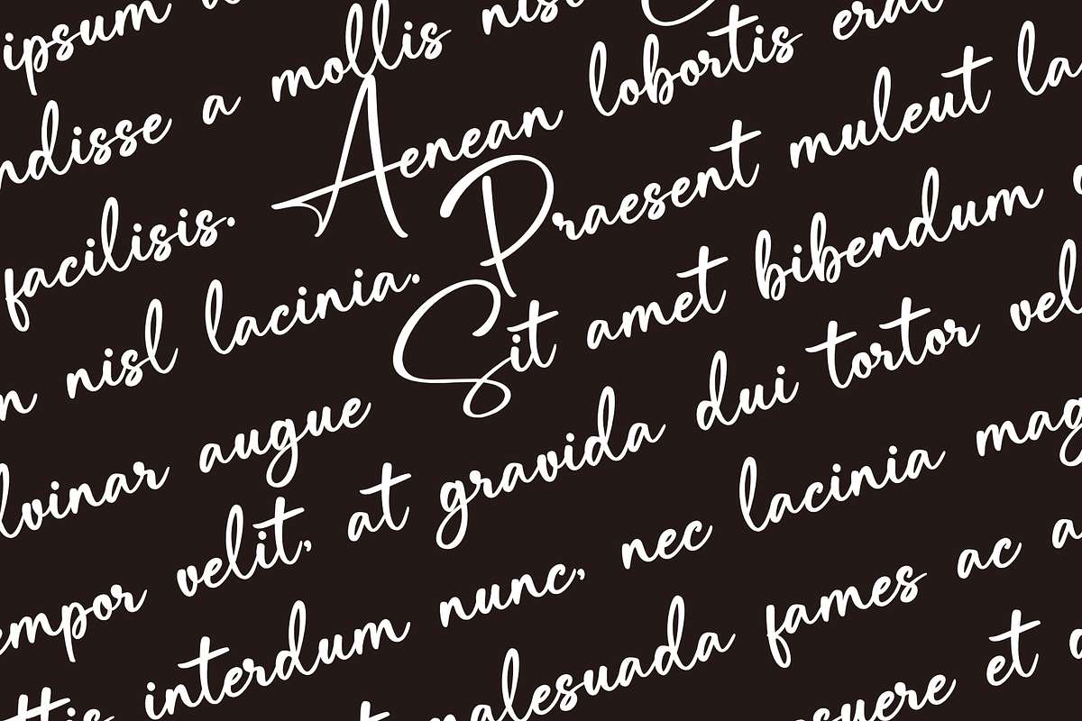 Hiragenda – Signature font, a Script Font by Basnistudio (Photo 2 of 15)
