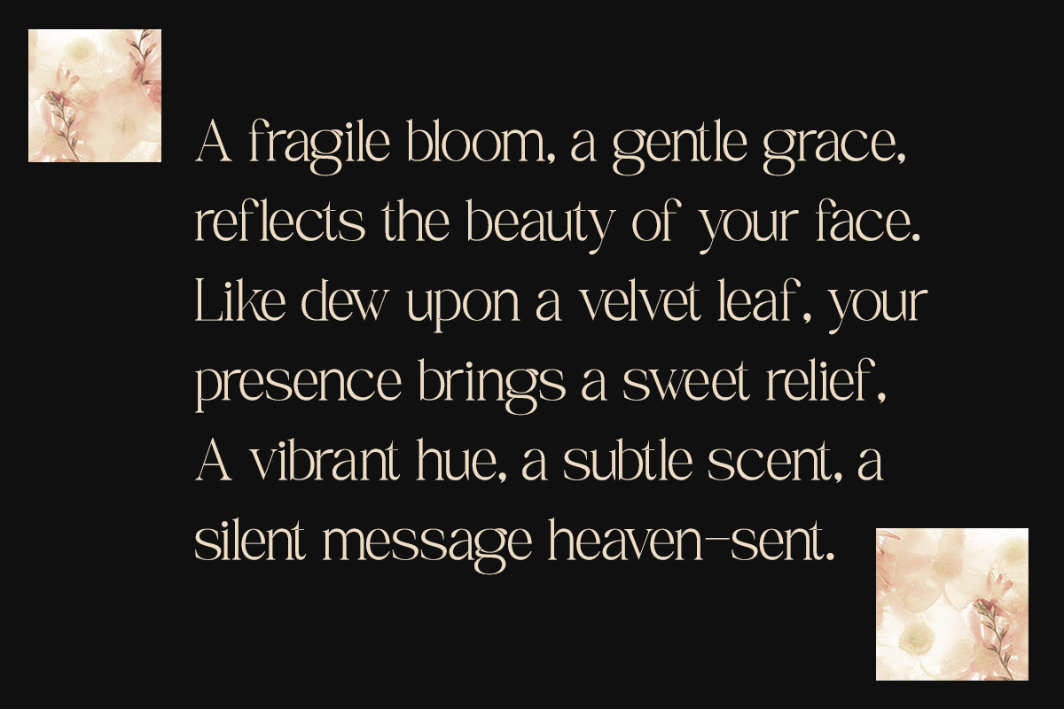 Rameena - Modern Elegant Serif, a Serif Font by Sohel Studio (Photo 8 of 10)