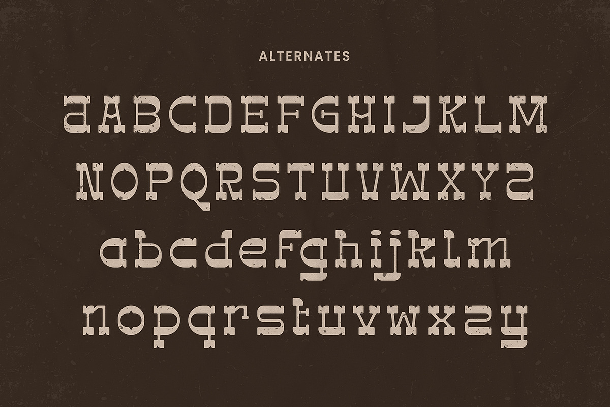 West Noland - Vintage Slab Font, a Slab Serif Font by AQR Studio (Photo 7 of 8)